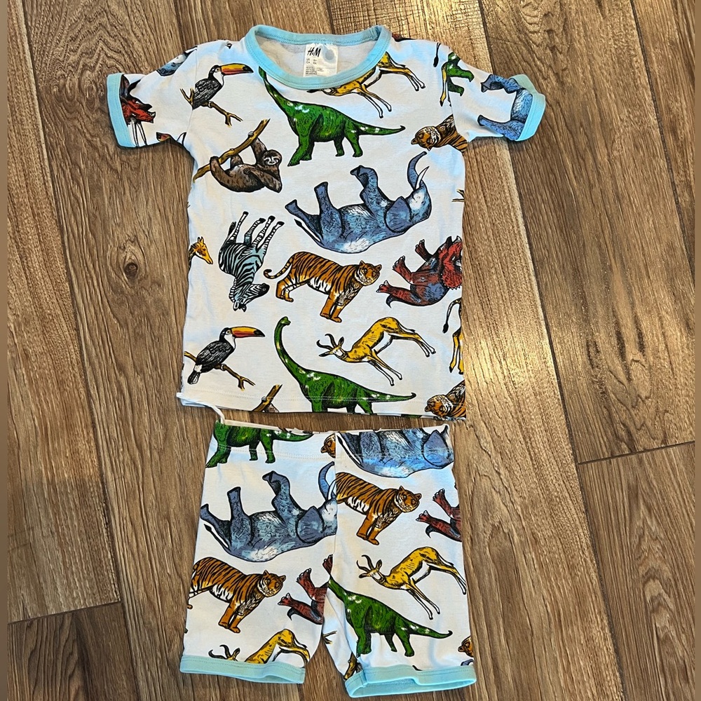 H&M Multicolor Dinosaur and Animal Print Pajama Set